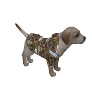 Queen Dog's Pullover Hoodie - CreLESAtive™